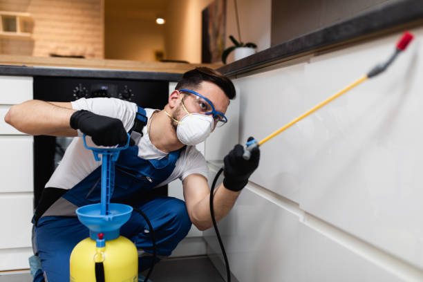 Best Best Pest Control Companies  in Cologne, MN