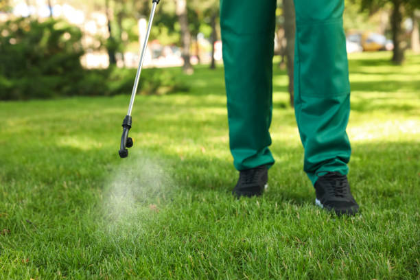 Best Wildlife Control Services  in Cologne, MN