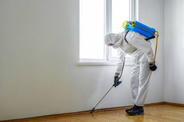 Best Wildlife Control Services  in Cologne, MN