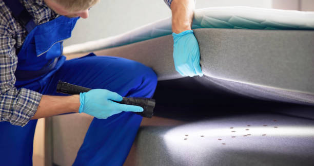 Professional Pest Control in Cologne, MN
